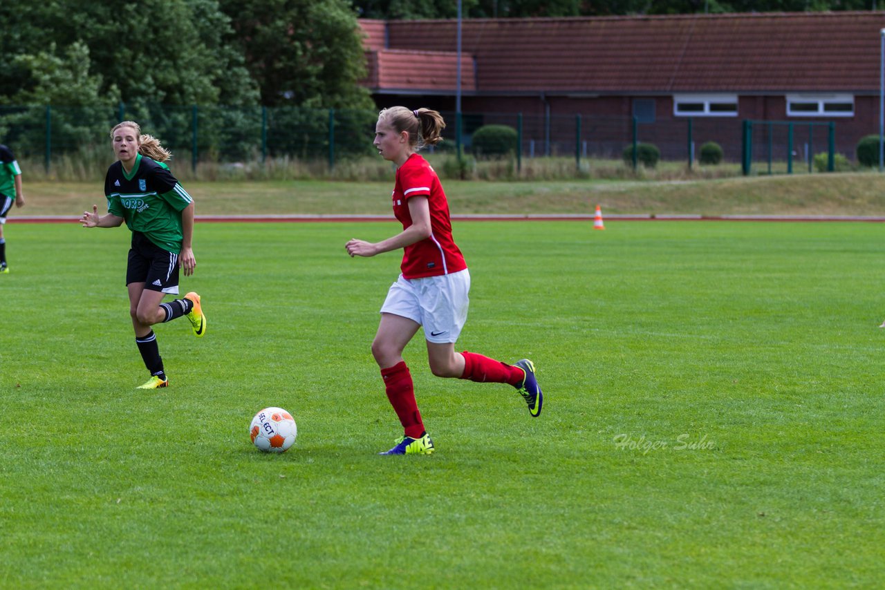 Bild 244 - C-Juniorinnen Landesmeister Finale SV Wahlstedt - TuRa Meldorf : Ergebnis: 1:4